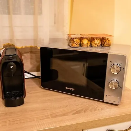 Casa Max * Temešvár