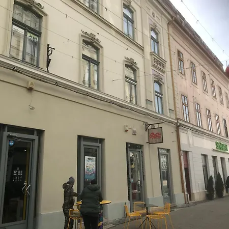 Casa Max 아파트 티미쇼아라