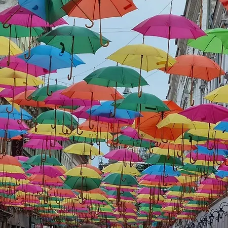 شقة Casa Max تيميشورا