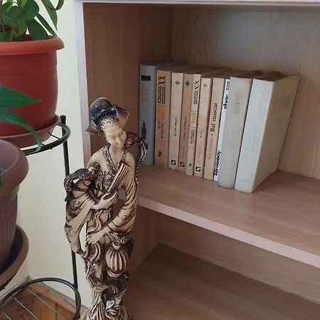 Casa Max 티미쇼아라