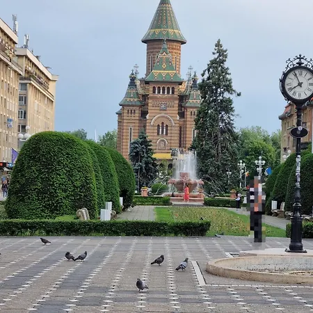 Casa Max 티미쇼아라