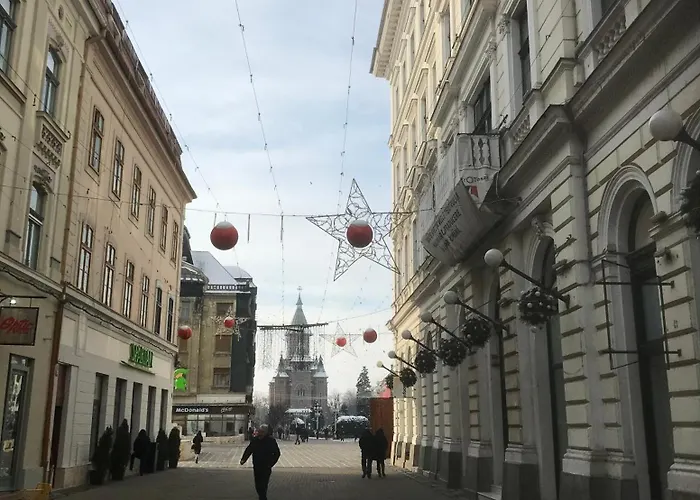 Apartment Casa Max Timisoara