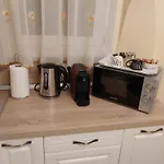 Casa Max Apartment Timisoara