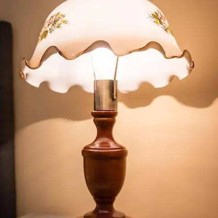 Casa Max Apartament *