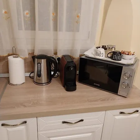 Casa Max Apartament Timişoara