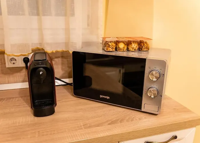 Casa Max * Timişoara